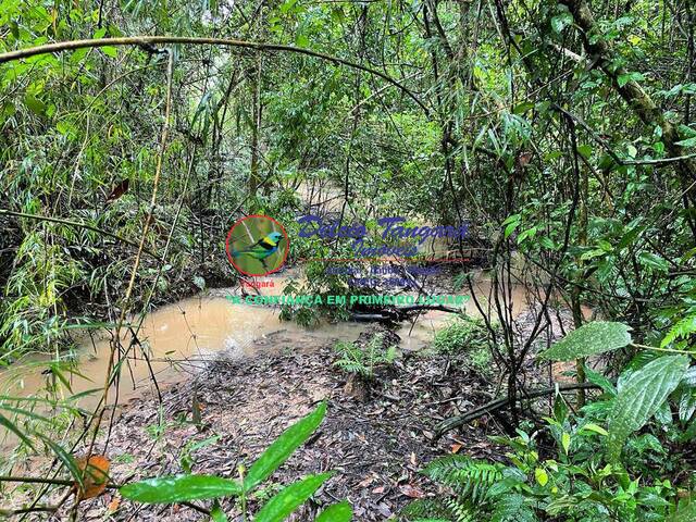 #TE0146 - Terreno para Venda em Jarinu - SP - 2